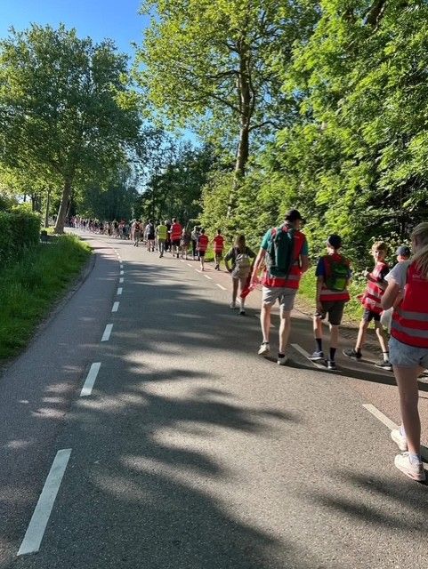 Wandelevenement Avond4daagse Harmelen, Harmelen, Groene Hart, groep deelnemers en gezinnen wandelen over een landelijk fietspad tussen groene bomen tijdens een zomeravond.