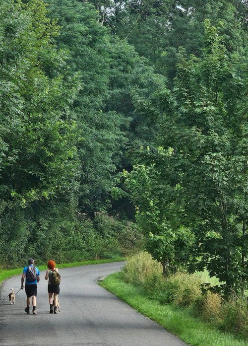 iemand die aan het wandelen is