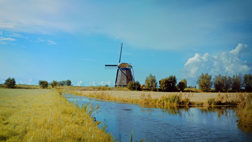 De Blauwe Molen van ver te zien tussen de natuur van de polder in Rijpwetering
