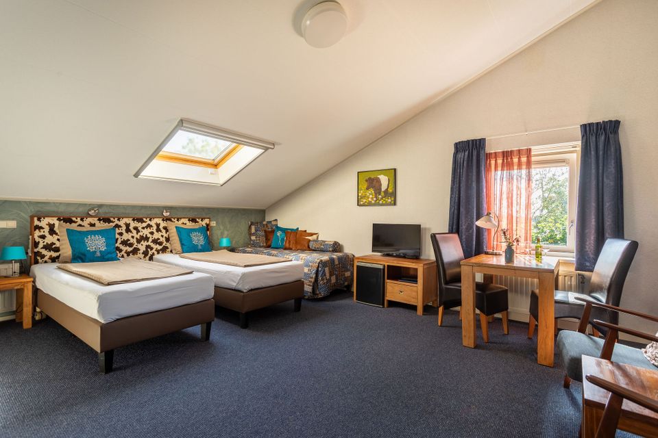 Bed & Breakfast Hazenveld in het Groene Hart, ruime gastenkamer met twee eenpersoonsbedden, extra slaapbank, eettafel, televisie en dakraam.