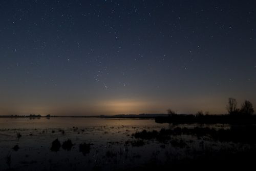 Foto door Jannie Bouwman