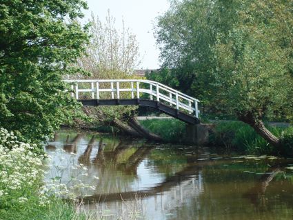 Witte houten kwakelbrug over de Lange Linschoten, omgeven door groen, fluitenkruid en waterplanten met de brug weerspiegeld in het rustige water.