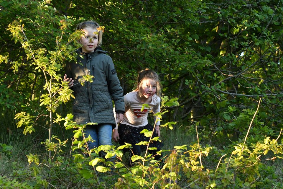 Kinderen spelen natuur