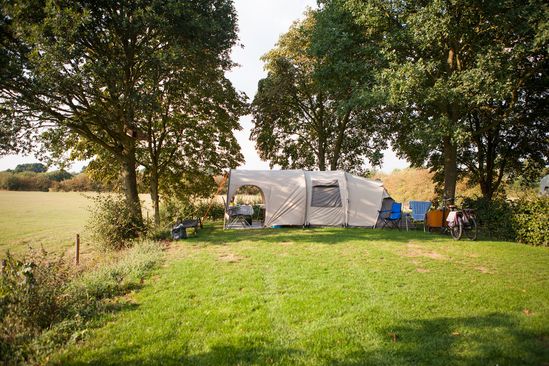 campingstuhl für hunde Hund-Campingausrüstung | Bester Outdoor-Shop