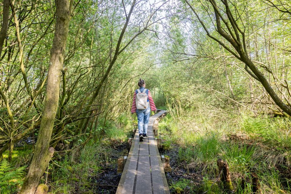 Dwaal door De Deelen