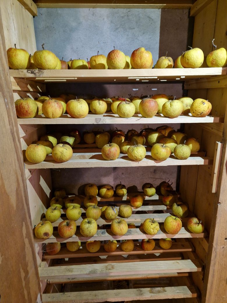 appelkast