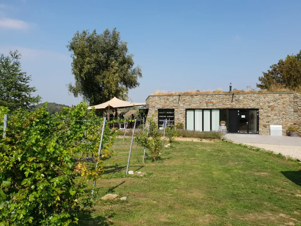 Wine estate St. Martinus