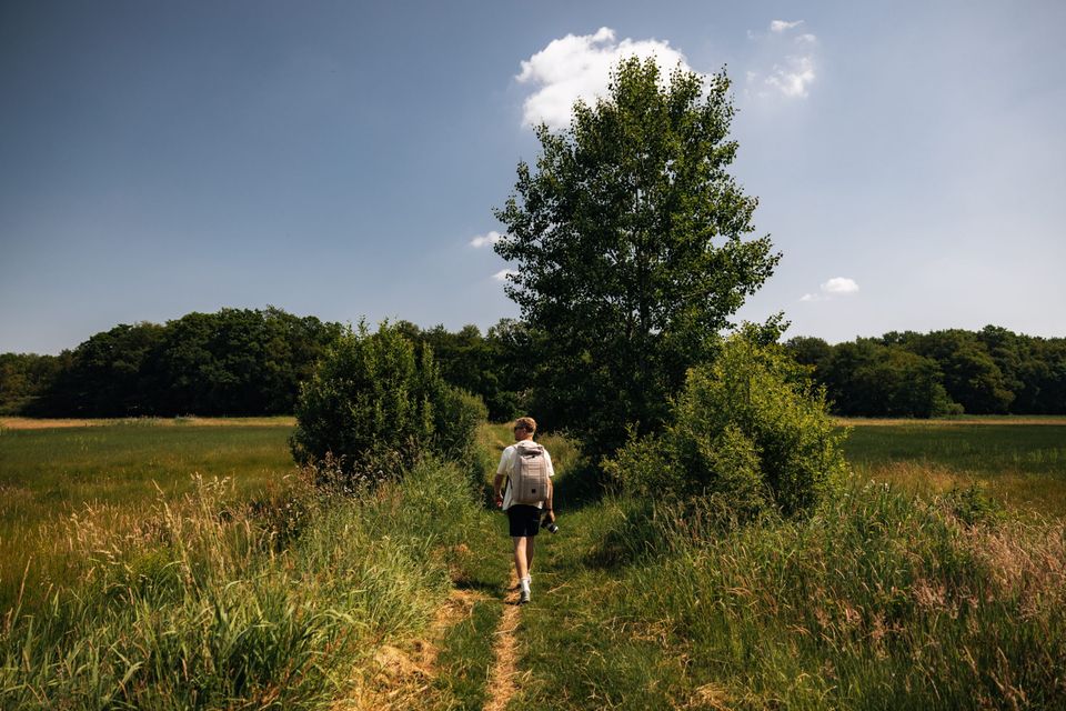 Een man wandelt door de natuur in Drenthe.