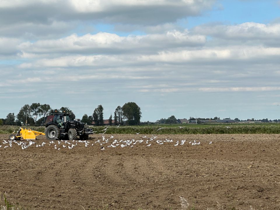 Wandelroute langs Terpen en Hemdijk