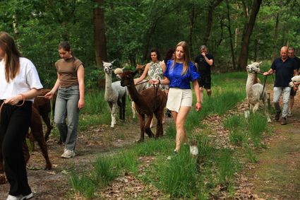 Paaswandeling met alpaca’s