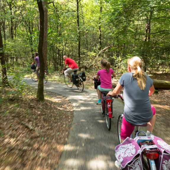 Fietsexcursie Dwingelderveld
