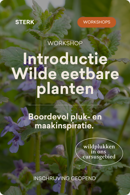 Workshop Introductie Wilde Eetbare Planten