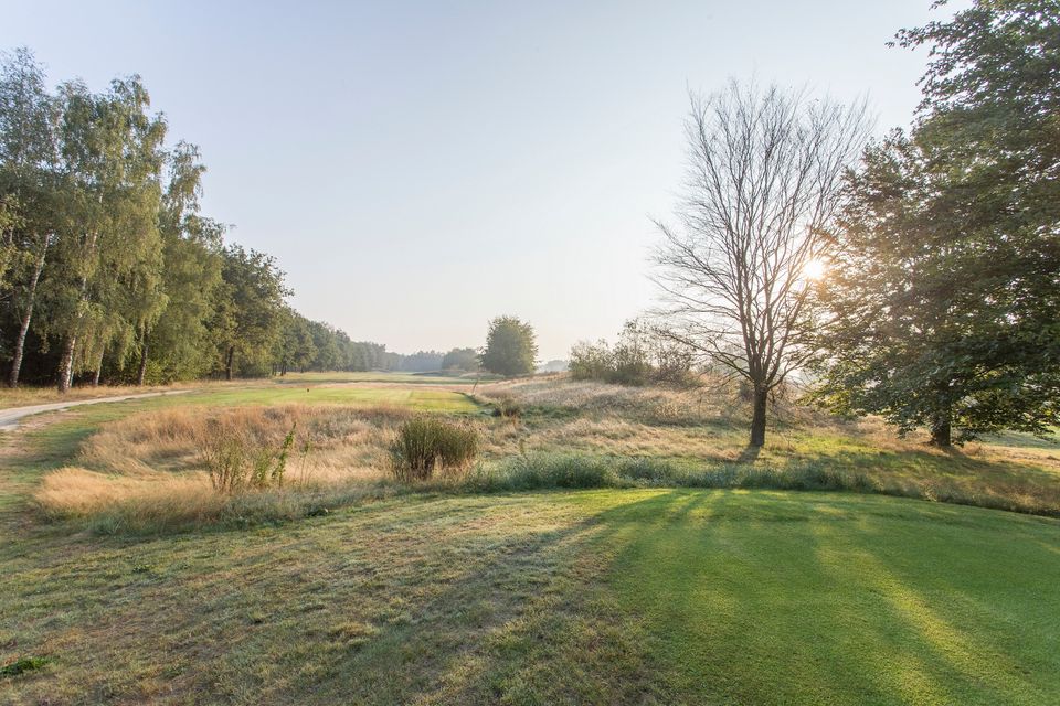 Een golfbaan nabij een Drents bos.