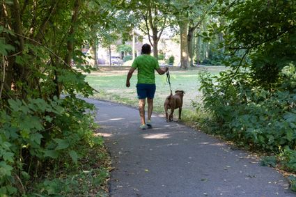 Man wandelt met aangelijnde hond in Park Kokkebogaard