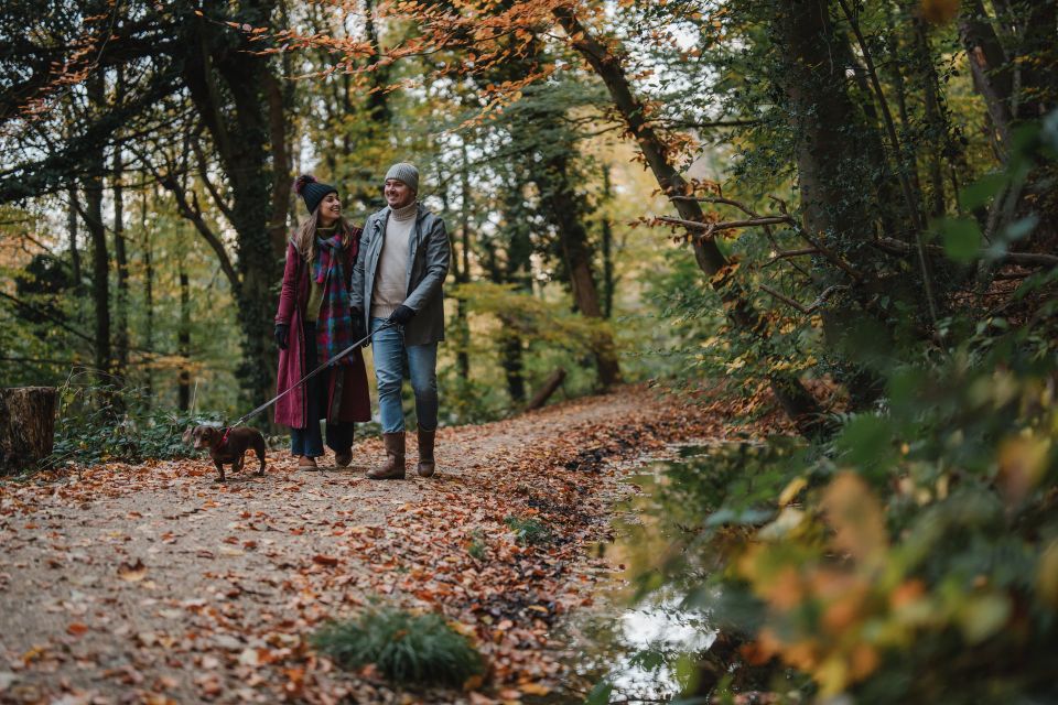 Wintergoud in Noord-Limburg