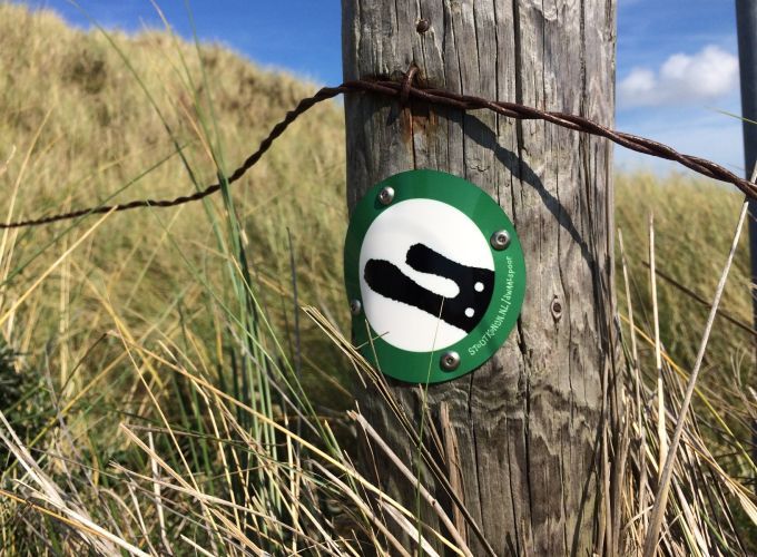 stout-konijn-dwaalspoor-2-low