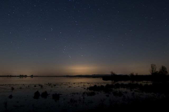 Foto door Jannie Bouwman