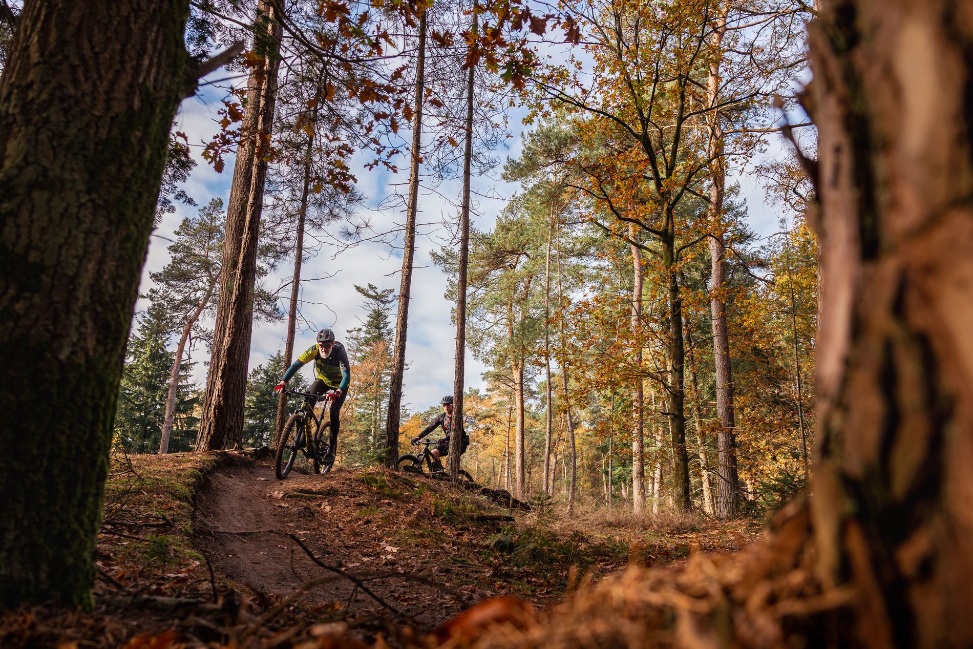 Mountainbikers op de mtb route in Waalre