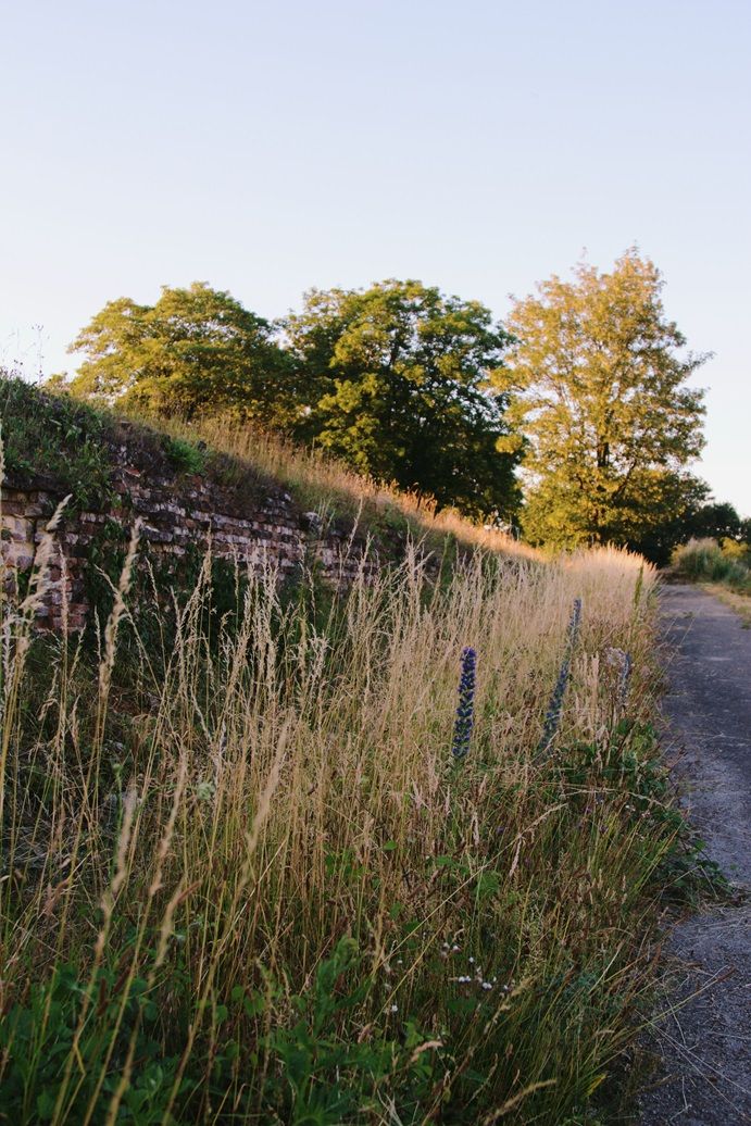 Frontenpark Maastricht hiking trail nature