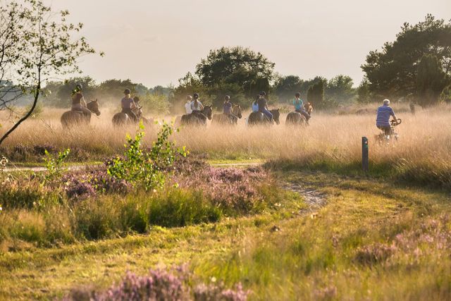 Ruiters op de heide in natuurgebied De Groote Heide.