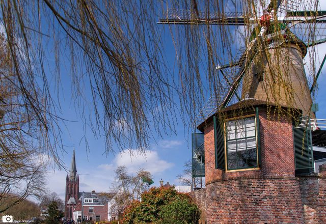 Windmolen in het centrum van IJsselstein met een kerk en knotwilgen op de achtergrond.