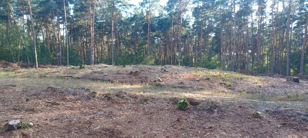 Hooge Mierde