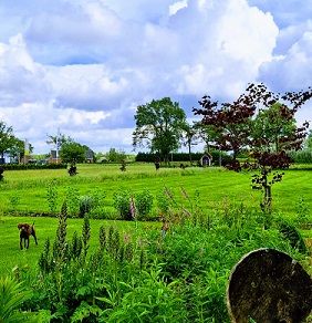 Tuin Toer 2025