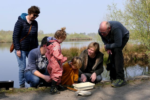 de boswachter en een groep buigen zich over een waterbakje met Peelwater