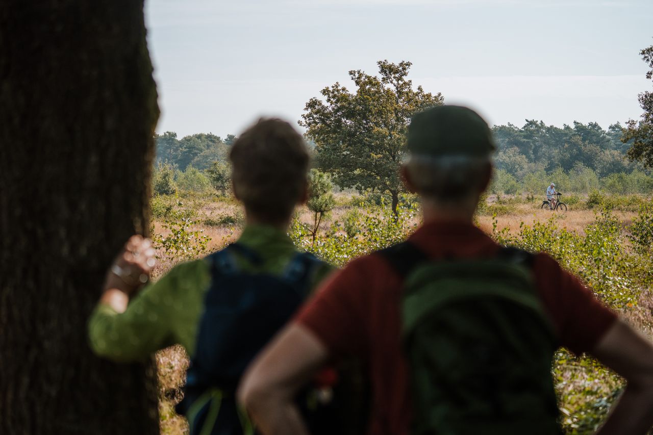 wandelaars in het bos met hun rug naar de camera toe