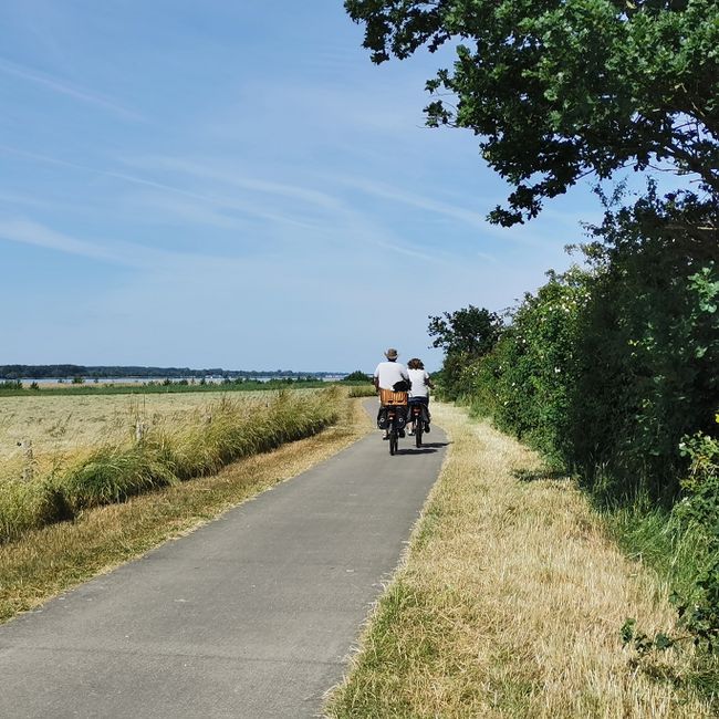 Fietsers langs Veluwemeer met hondje